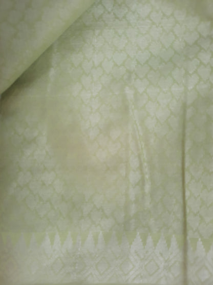 Pale Green Chanderi Cotton Saree